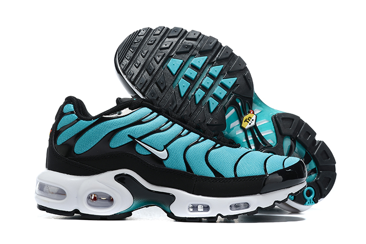 2021 Nike Air Max Plus Blue Black White